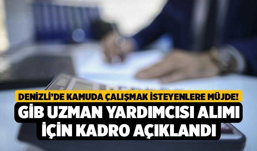 Denizli’de Kamuda Çalışmak İsteyenlere Müjde! GİB Uzman Yardımcısı Alımı İçin Kadro Açıklandı
