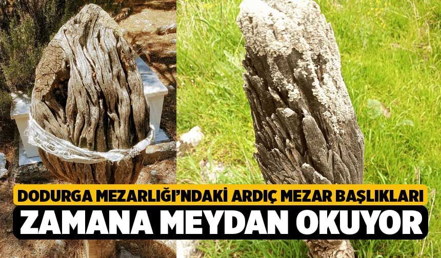 Dodurga Mezarlığı’ndaki Ardıç Mezar Başlıkları Zamana Meydan Okuyor