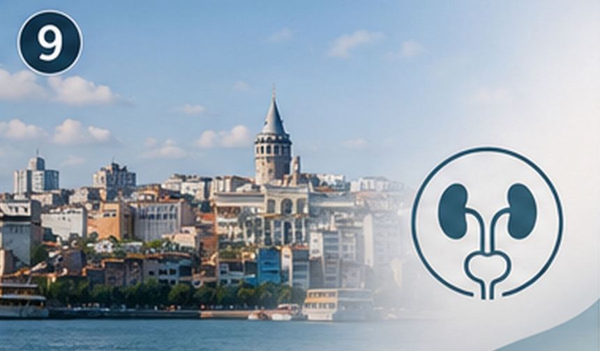 İstanbul Androloji Doktorunun Teşhis ve Tedavi Planlaması