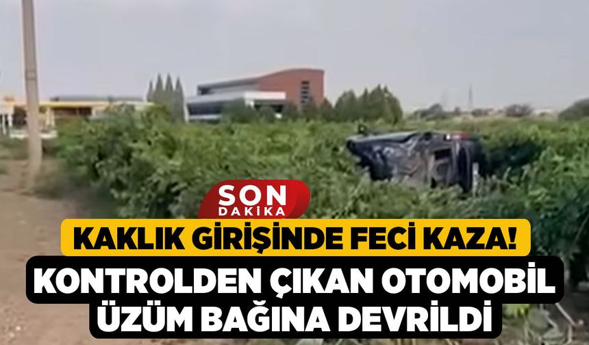 Kaklık Girişinde Feci Kaza! Kontrolden Çıkan Otomobil Üzüm Bağına Devrildi