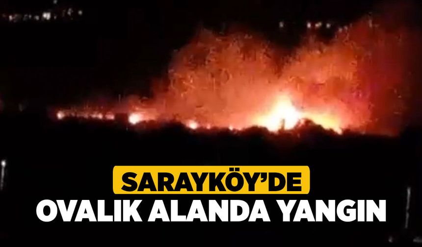 Sarayköy’de Ovalık Alanda Yangın