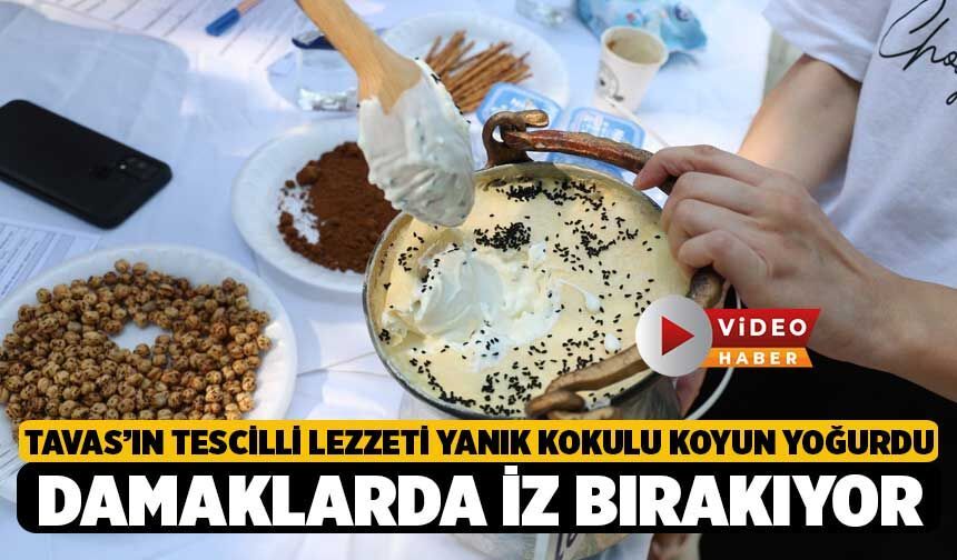 Tavas’ın Tescilli Lezzeti, Yanık Kokulu Koyun Yoğurdu Damaklarda İz Bırakıyor