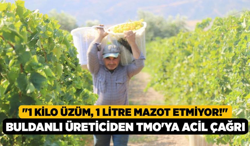 "1 Kilo Üzüm, 1 Litre Mazot Etmiyor!" Buldanlı Üreticiden TMO'ya Acil Çağrı
