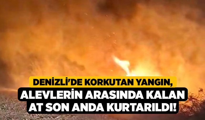Denizli'de Korkutan Yangın, Alevlerin Arasında Kalan At Son Anda Kurtarıldı!