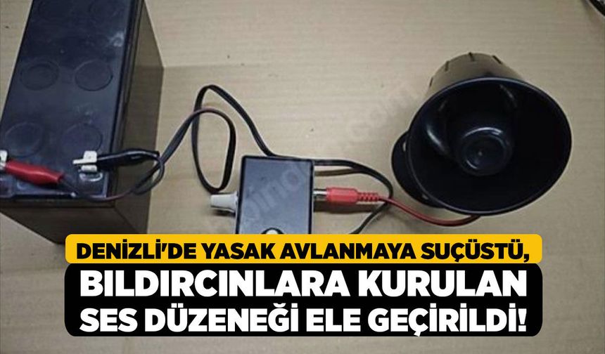 Denizli'de Yasak Avlanmaya Suçüstü, Bıldırcınlara Kurulan Ses Düzeneği Ele Geçirildi!