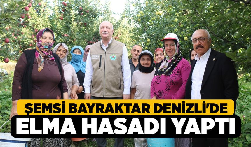 Şemsi Bayraktar Denizli'de Elma Hasadı Yaptı