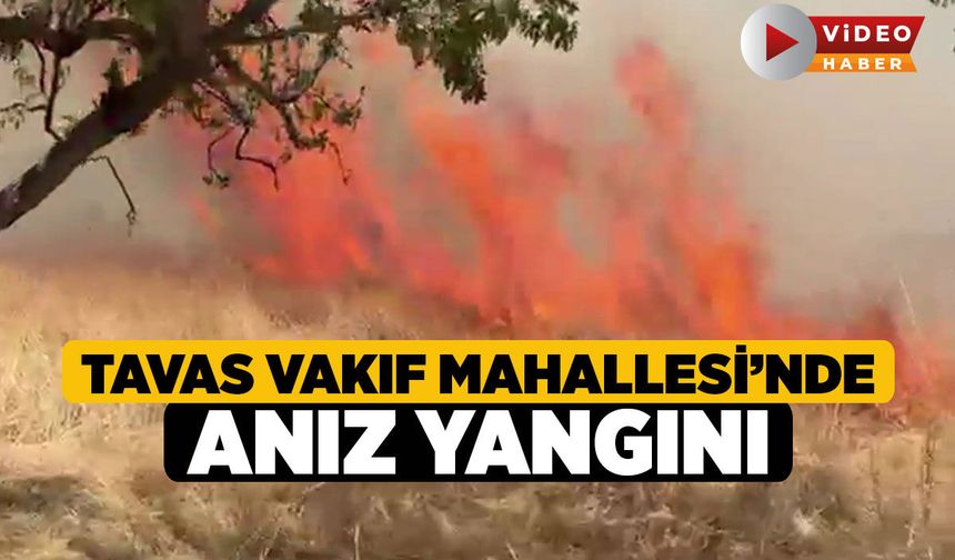 Tavas Vakıf Mahallesi’nde Anız Yangını