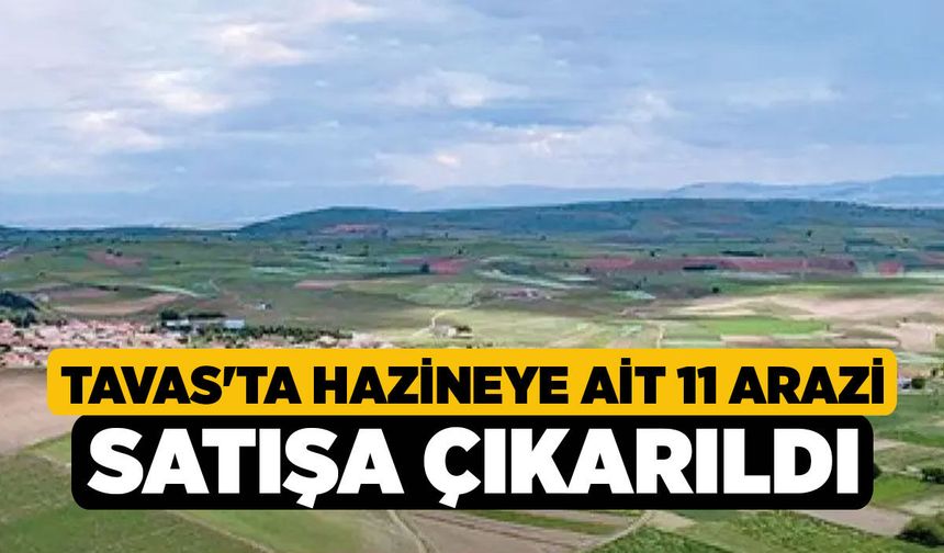 Tavas'ta Hazineye Ait 11 Arazi Satışa Çıkarıldı!