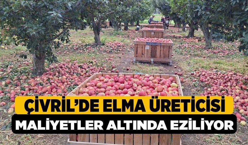 Denizli Çivril'de Elma Üreticisi Artan Maliyetler Altında Eziliyor: Fiyatlar Yarı Yarıya Düştü