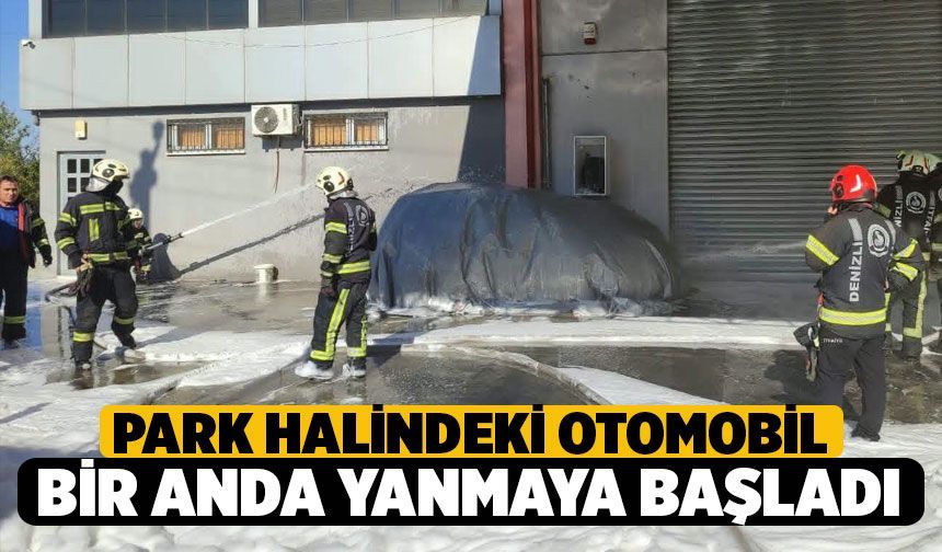 Denizli'de Park Halindeki Elektrikli Araç Bir Anda Alev Aldı