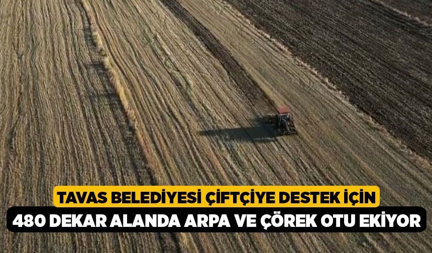 Tavas Belediyesi Çiftçiye Destek İçin 480 Dekar Alanda Arpa ve Çörek Otu Ekiyor