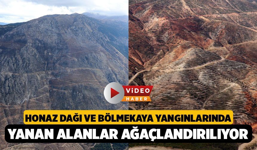 Denizli'de Yanan Orman Sahaları Havadan İncelendi: "2 Bin Hektarda Çalışmalar Tamamlanmak Üzere"