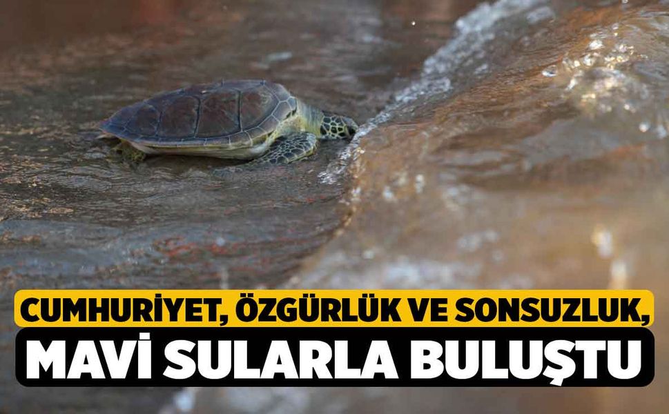 Cumhuriyet, Özgürlük ve Sonsuzluk, Mavi Sularla Buluştu