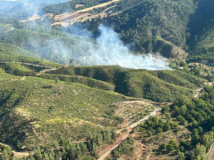 honazda-orman-yangini-1