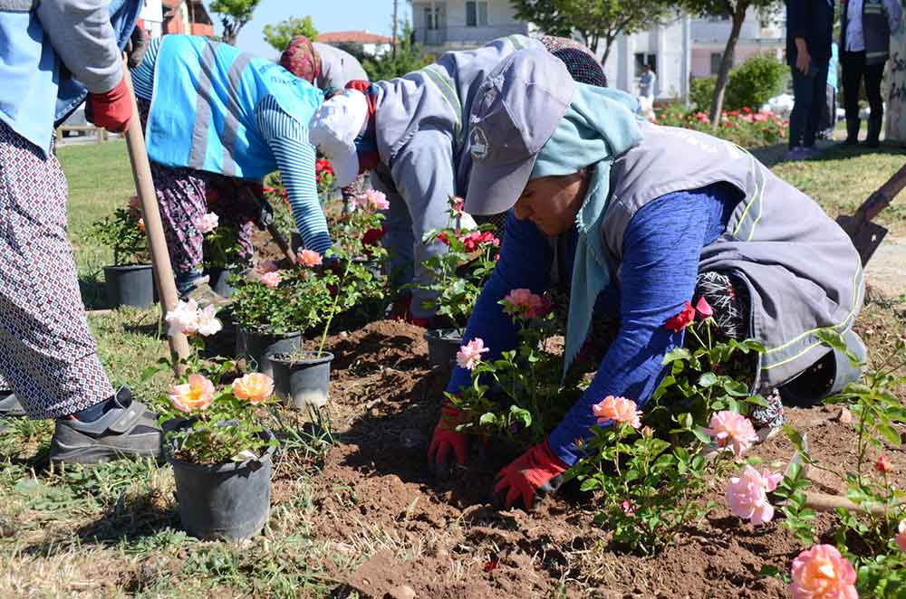 Pamukkale Belediyesi Ilcede Bahar Bakimi Yapiyor 3