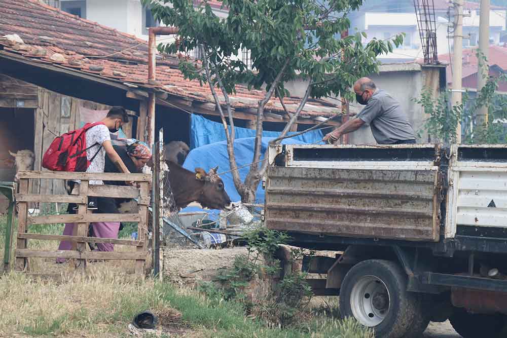 Bin Nufuslu Mahallenin Tahliyesi Devam Ediyor 4