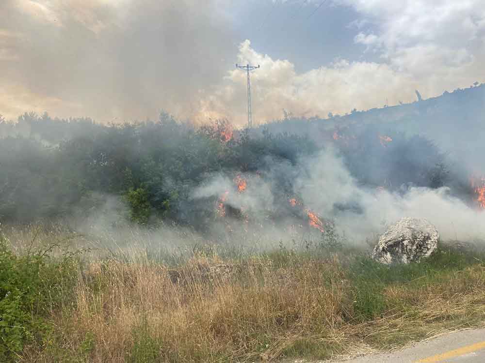 Denizlide 1 Gunde 10 Orman Yangini Cikti 1