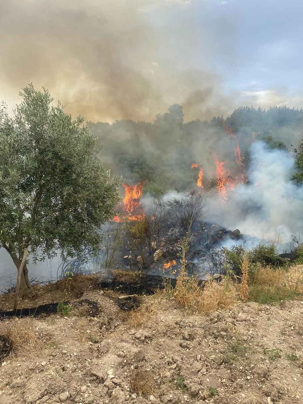 Denizlide Uc Noktada Orman Yangini Cikti 1