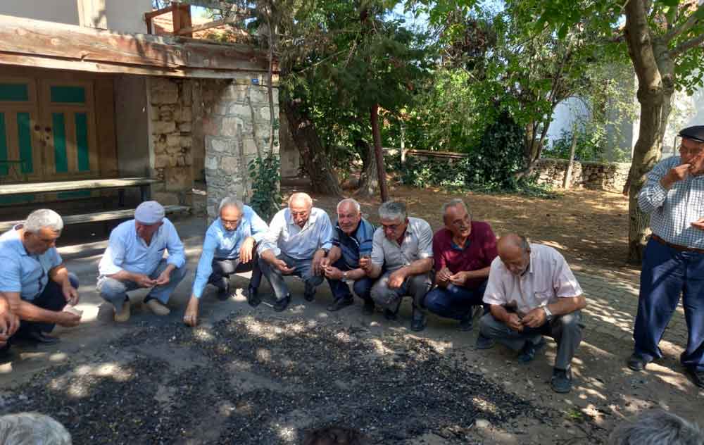 Denizli Serinhisar Ayaz Mahallesi Nohut Utme6