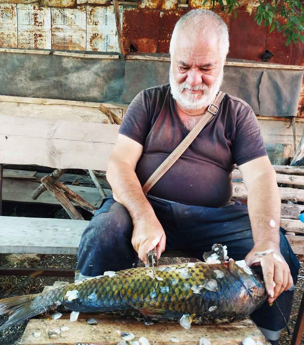 Tarlada Olusan Dogal Havuzda 5 Bucuk Kiloluk Sazan Avladi 2