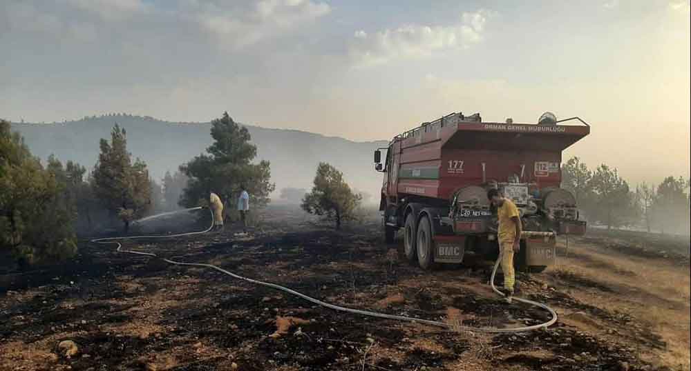 Denizlide Cikan Orman Yanginina Havadan Ve Karadan Mudahale Ediliyor 1