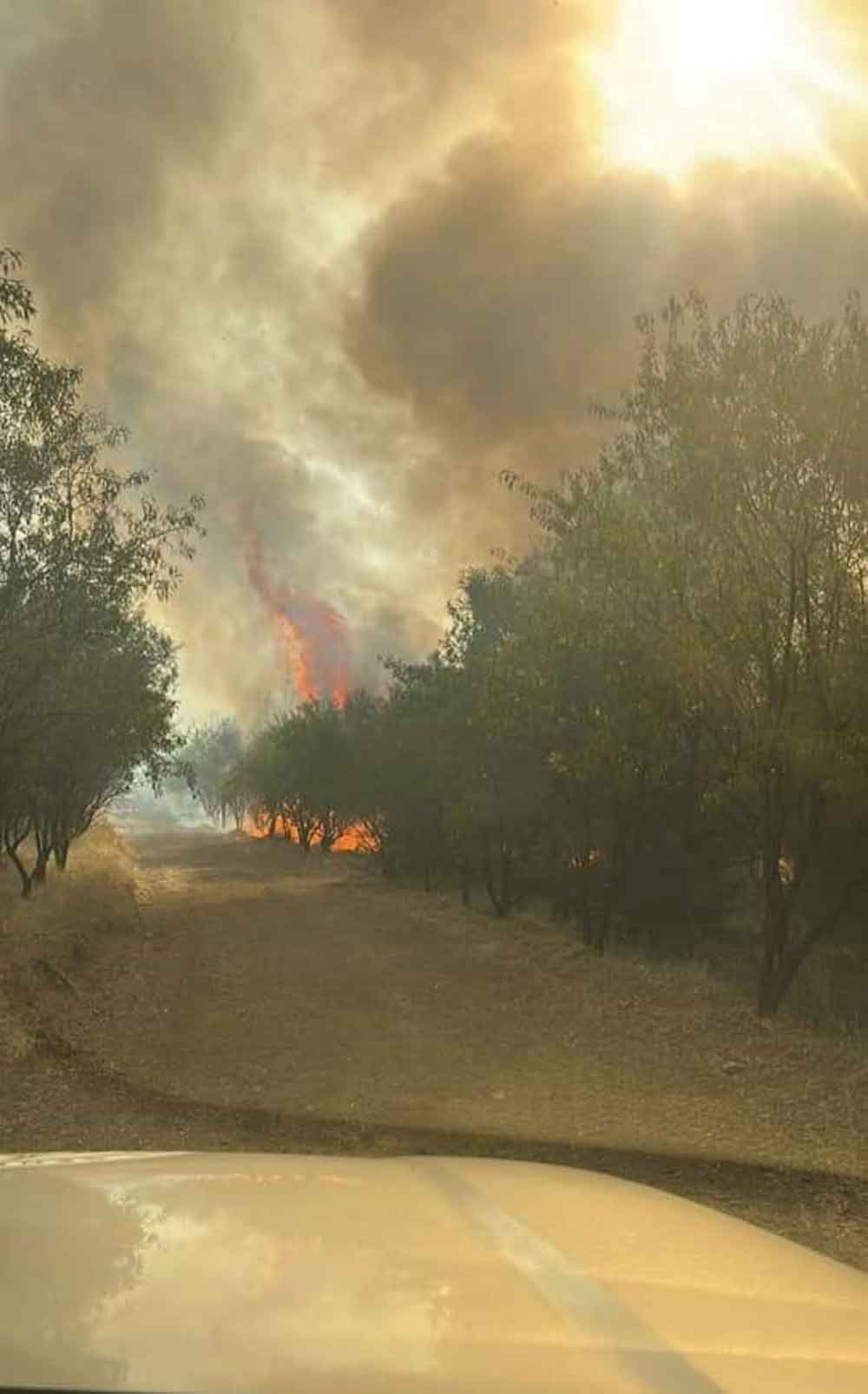 Denizlide Cikan Orman Yanginina Havadan Ve Karadan Mudahale Ediliyor 2