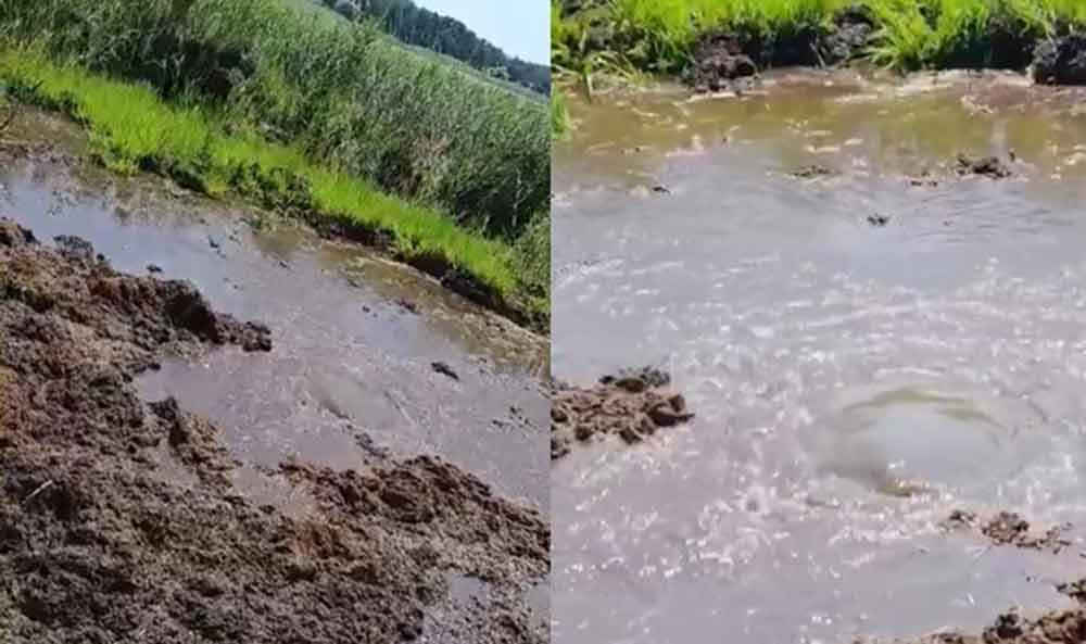 Yayla Golu Temizlenirken Su Kaynagi Bulundu 1