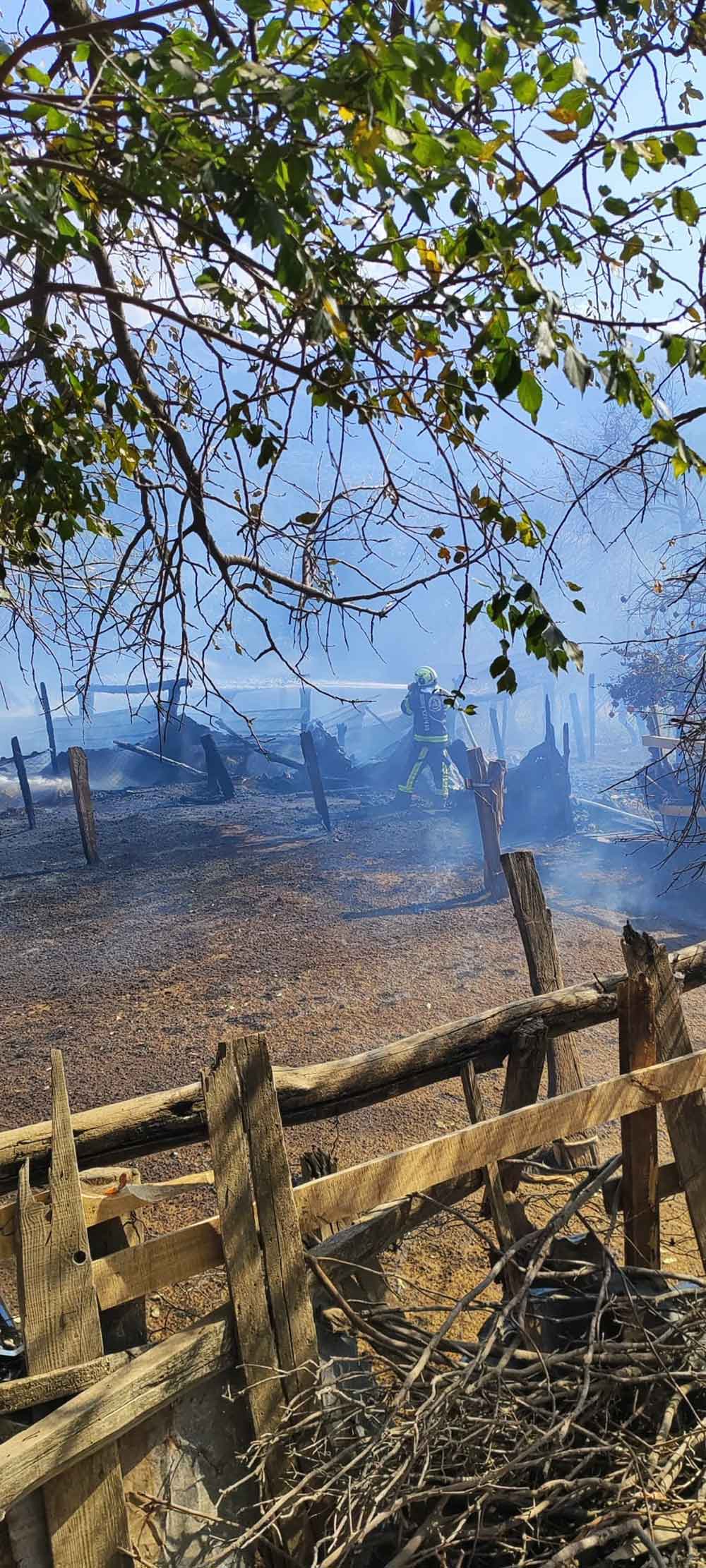 Babadagda Ahir Yangini 85 Kucukbas Hayvan Telef Oldu 2