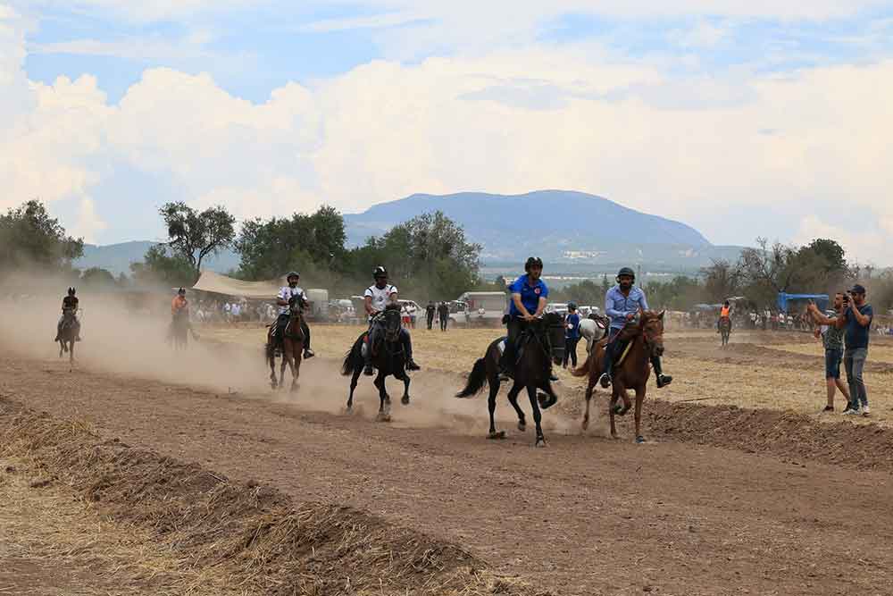 Tavasta 134 Rahvan At Pistin Tozunu Attirdi 3