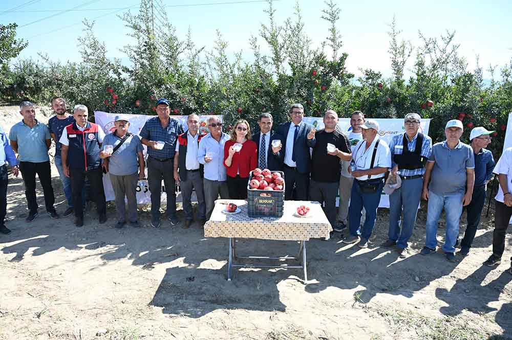 Zararlilarla Mucadelede Kullanilan Akilli Bocekler Gida Guvenligini Artirdi 3