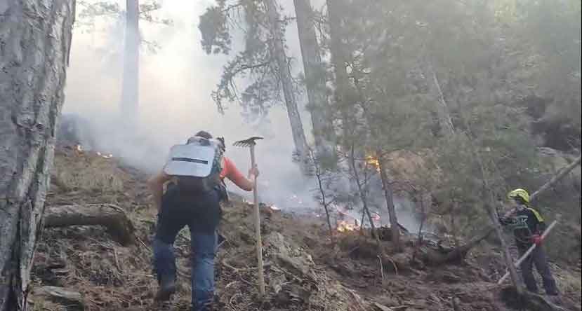 Denizli Orman Yangini Vatandas Seferber1