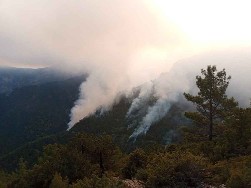 Denizli Orman Yangini Vatandas Seferber3