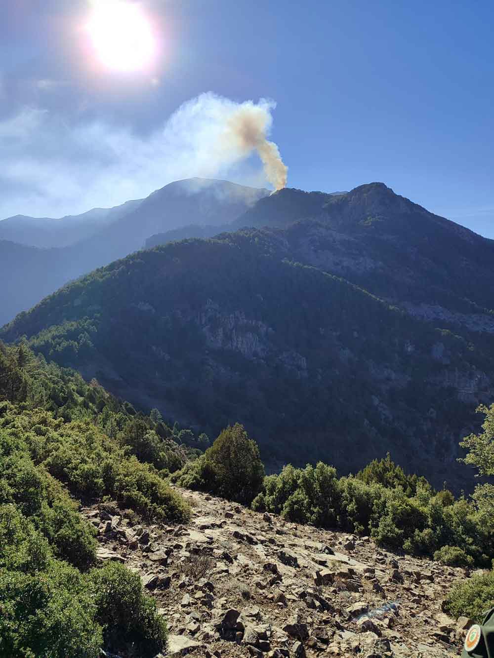 Denizlideki Orman Yanginina Havadan Ve Karadan Mudahale Ediliyor-1