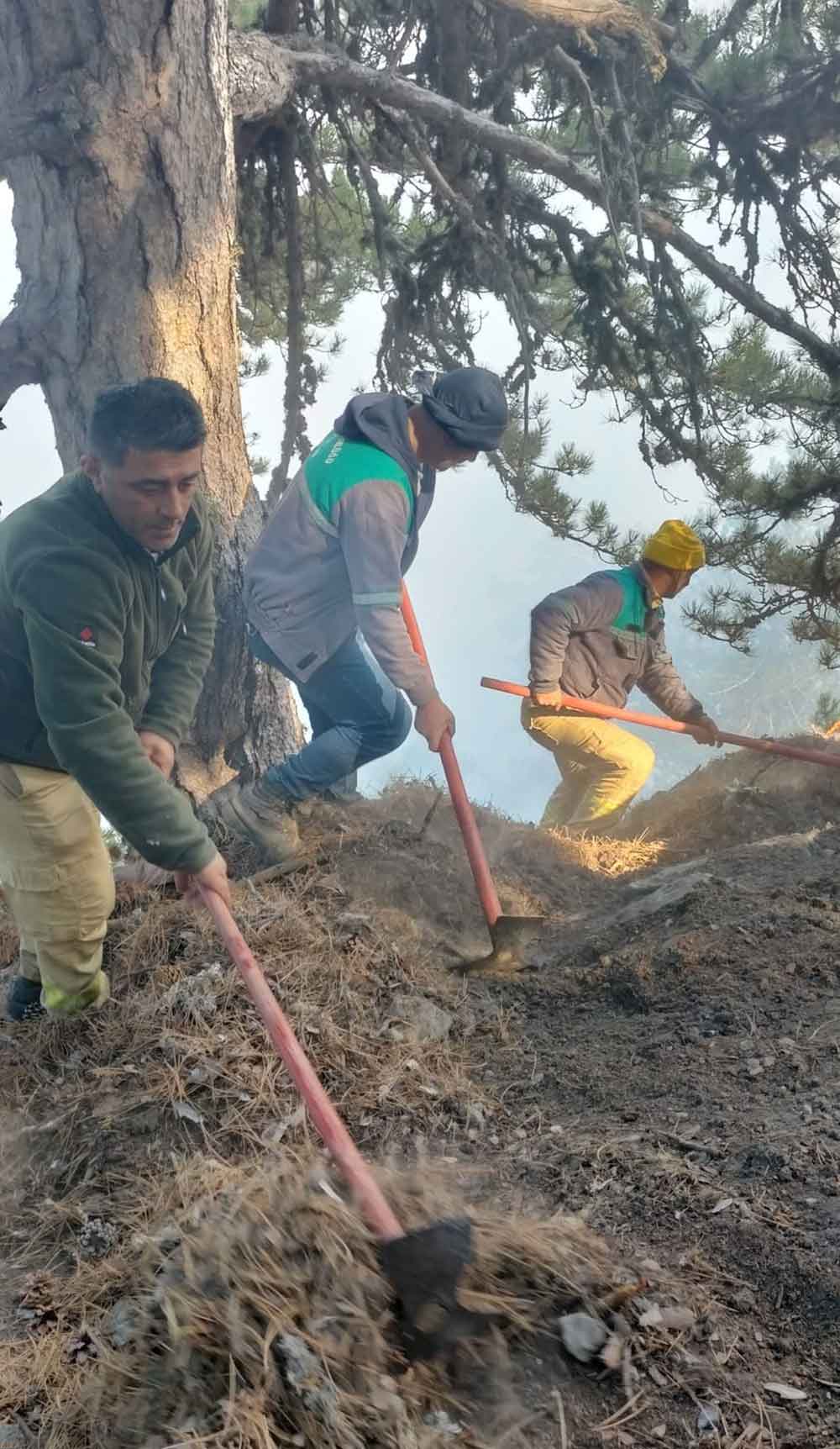 Denizlideki Yangina 6 Helikopterle Mudahale Ediliyor 2