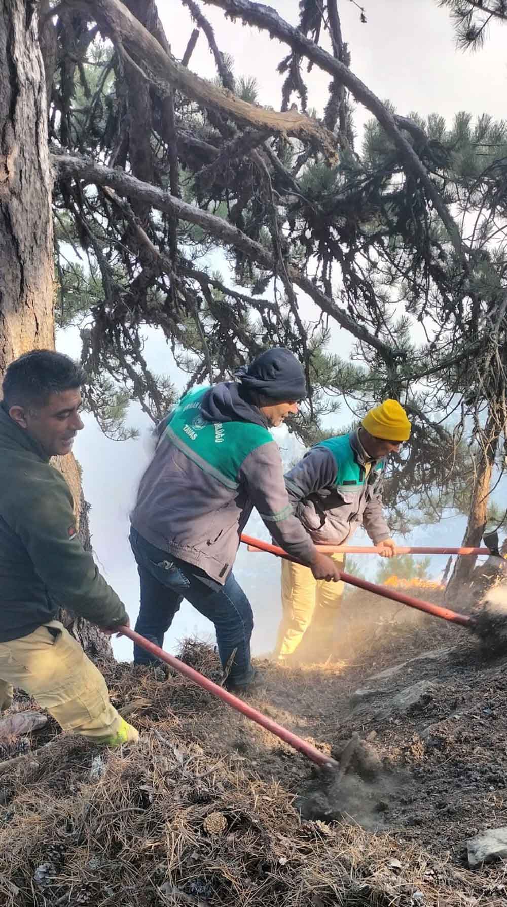 Denizlideki Yangina 6 Helikopterle Mudahale Ediliyor 3