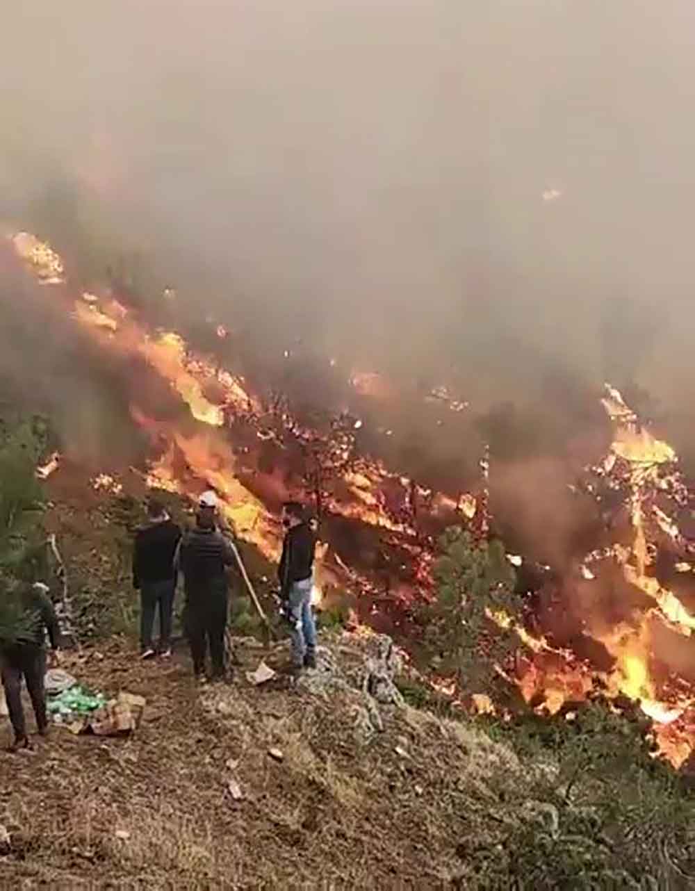 Karci Daginda Baslayan Yangin Tavas Sinirlarina Dayandi 2