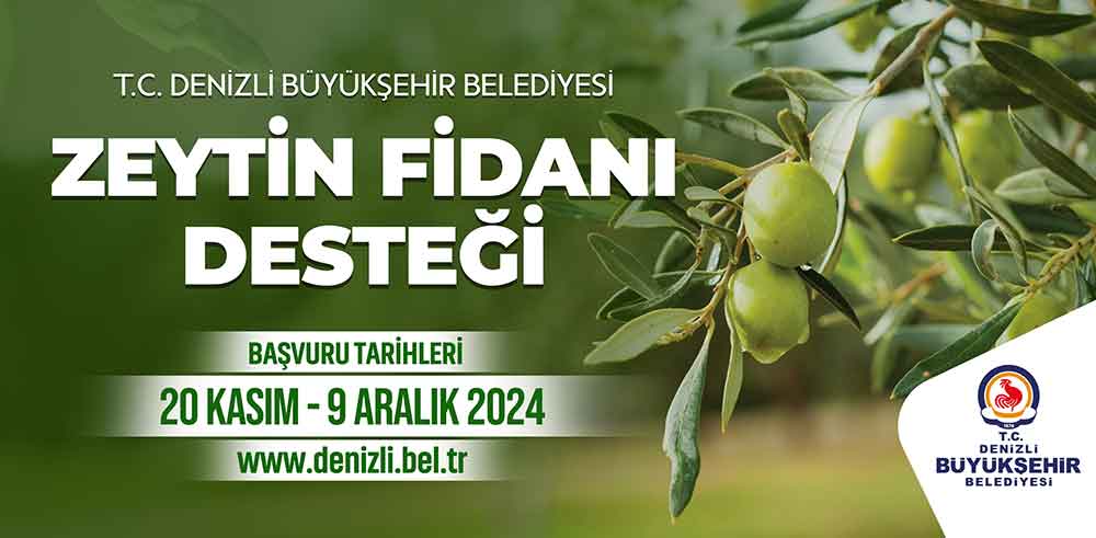 14 Ilcedeki Ciftcilere Sertifikali Zeytin Fidani Destegi 1