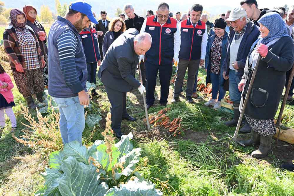 Cakir Havucunda Hasat Basladi