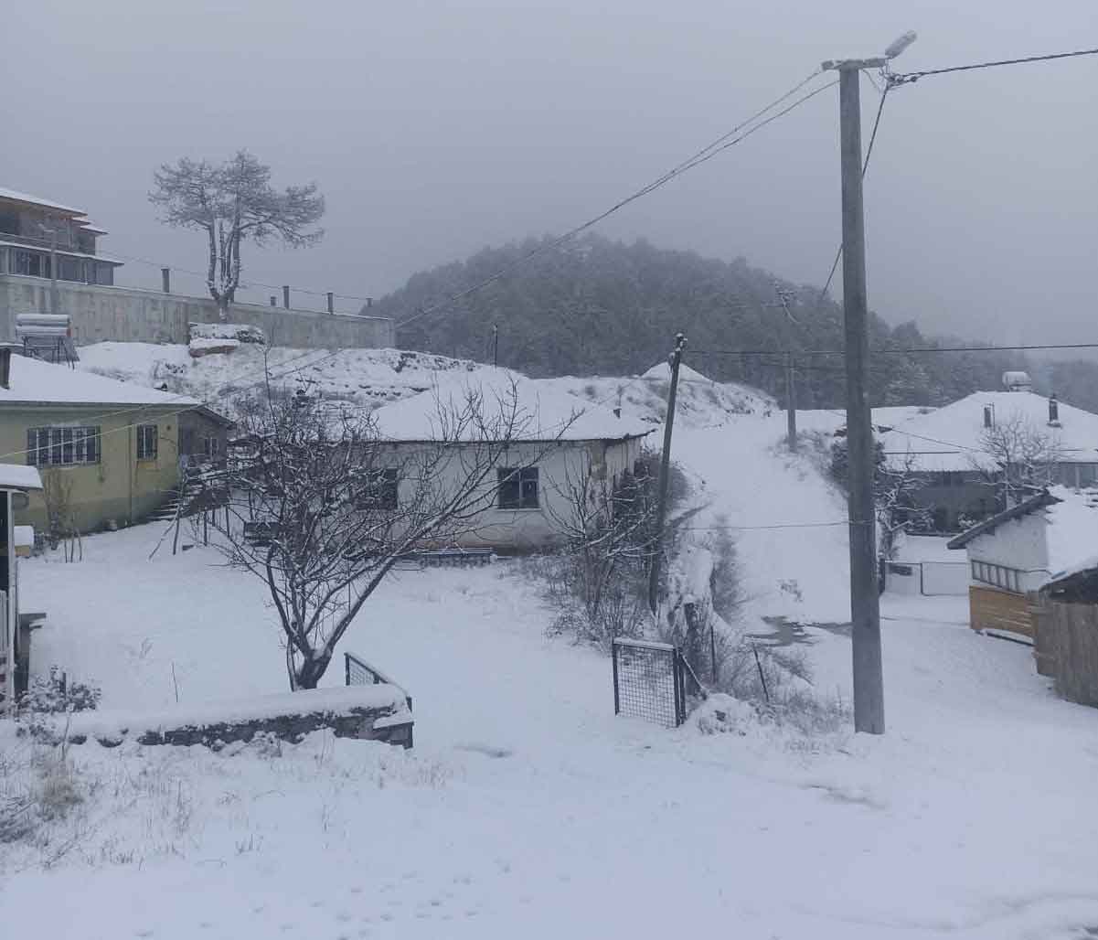 Denizli Cameli Kar Tatili Kaymakam1