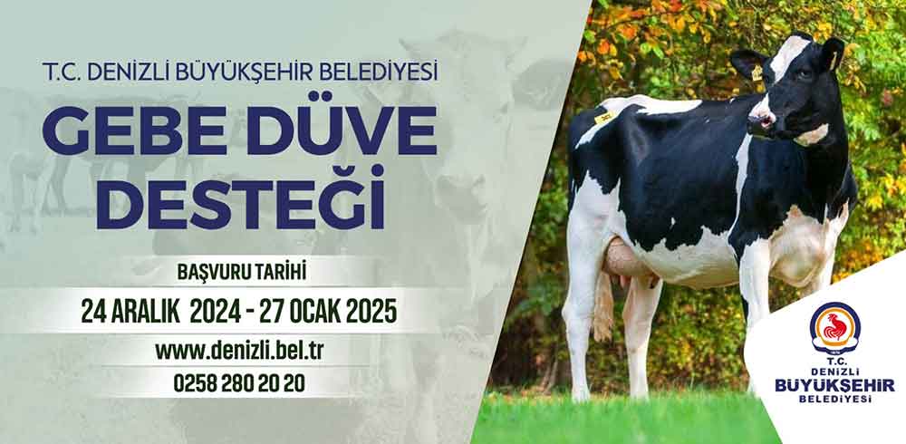 Denizlide Gebe Duve Destegi Basvurulari Basladi 1