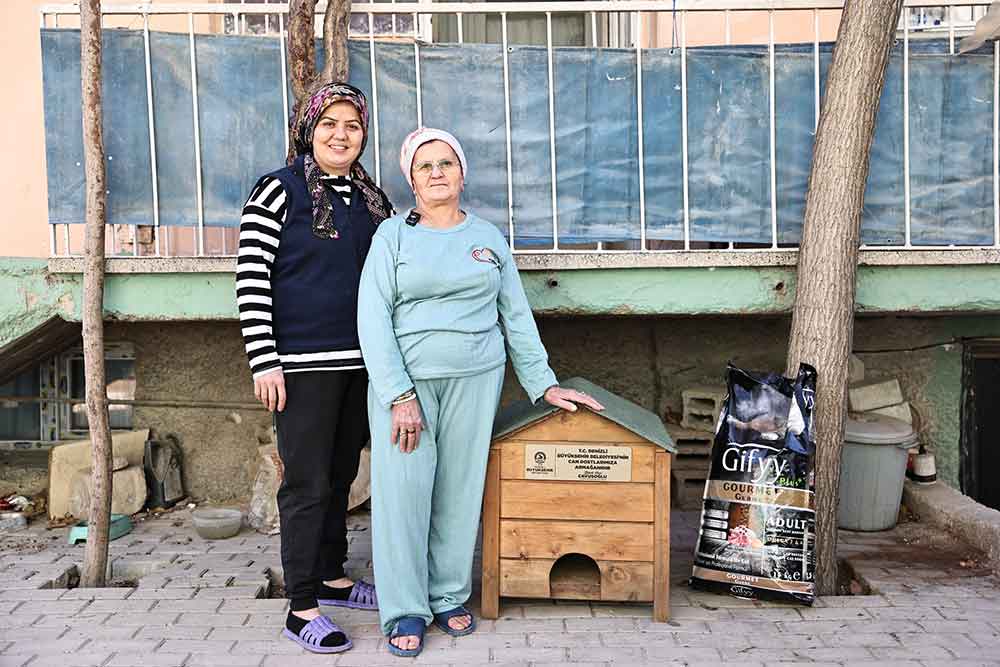 Hayvanseverler Istedi Baskan Cavusoglu Sozunu Tuttu