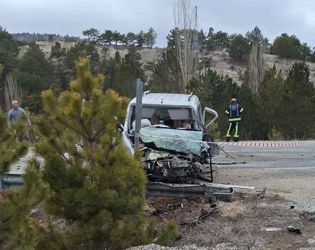 Camelide Kaza 2 Arac Kafa Kafaya Carpisti2