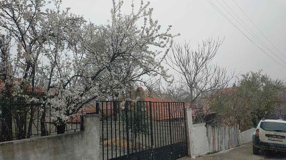 Denizlide Bahar Ve Kis Ayni Gunde Yasandi 3