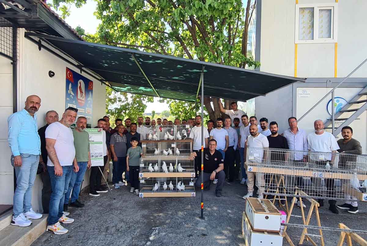 Denizli Guvercin Yarismasi Azman1