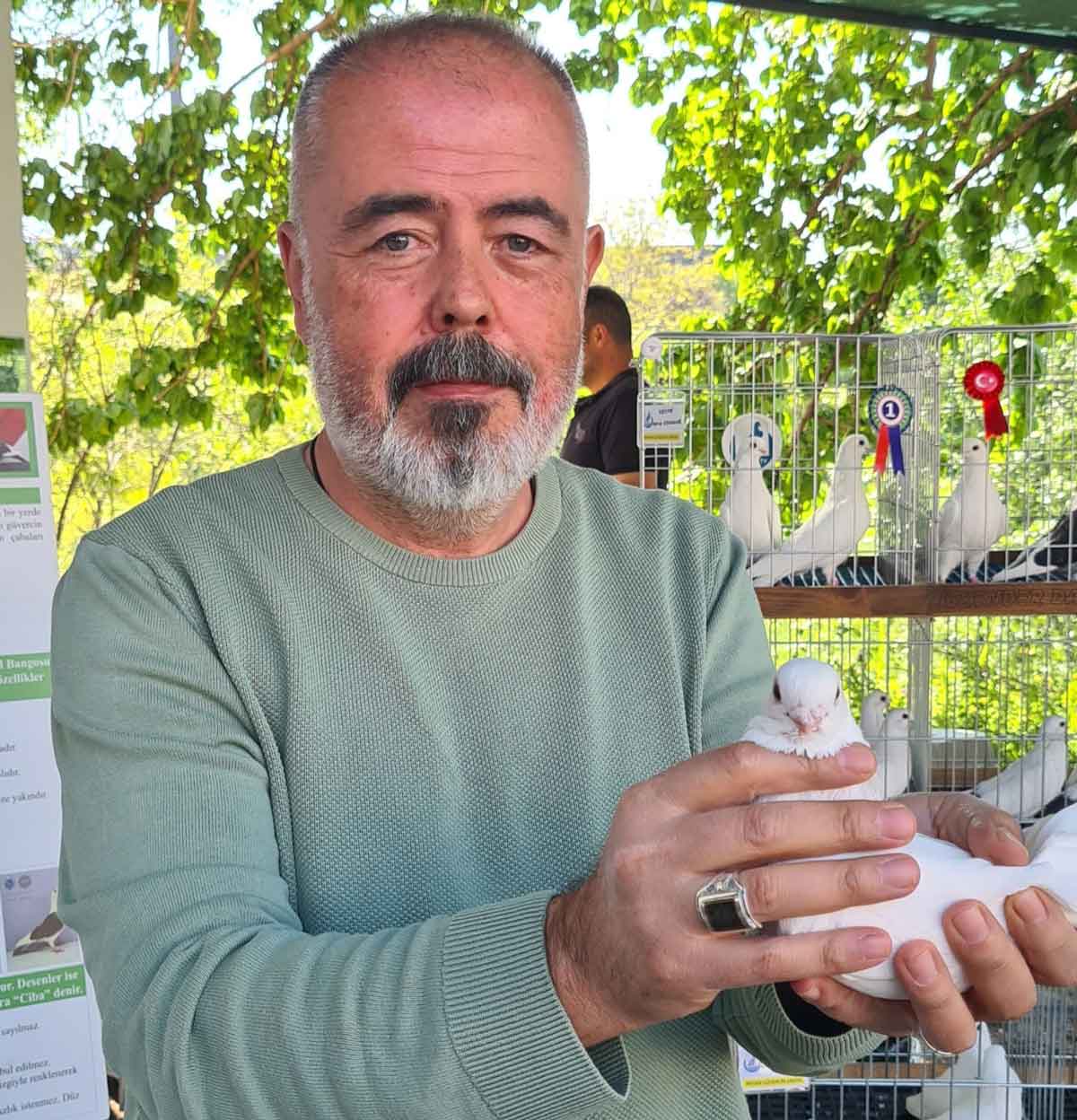 Denizli Guvercin Yarismasi Azman3