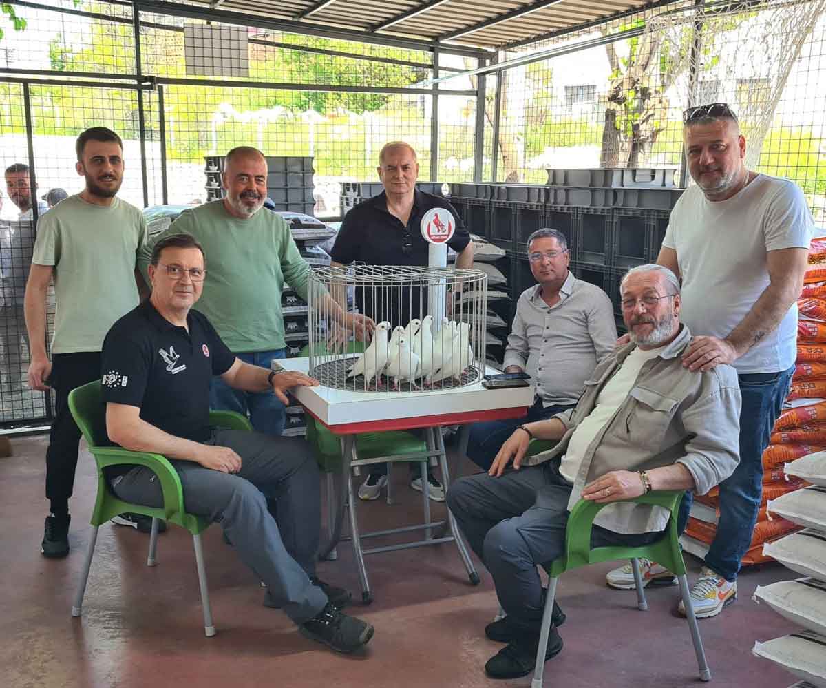 Denizli Guvercin Yarismasi Azman5