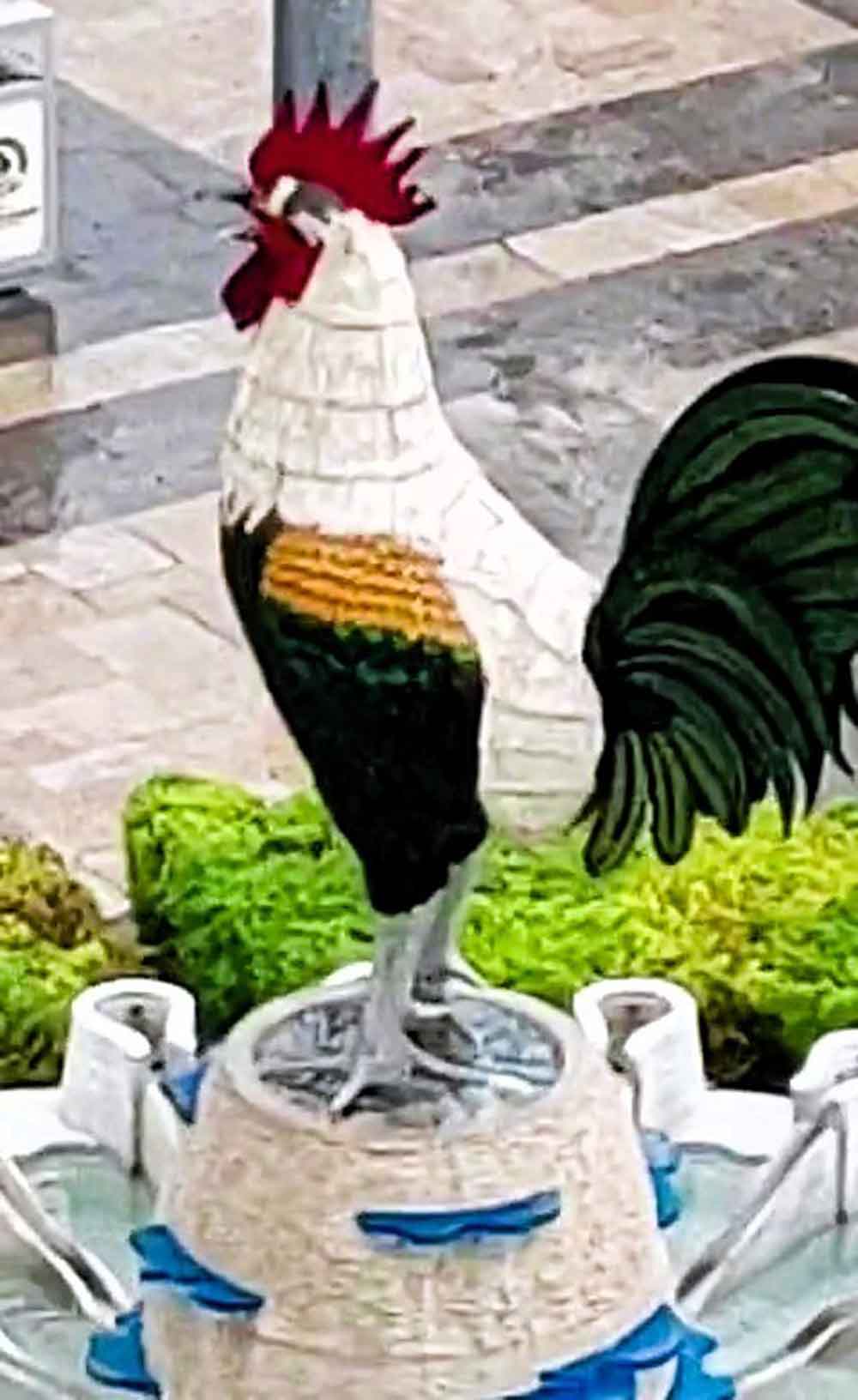 Denizli Horozu Doludan Nasibini Aldi 3