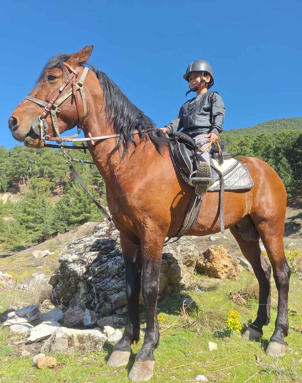 Denizli Cal Rahvan At Mirtlak Senligi Jokey1