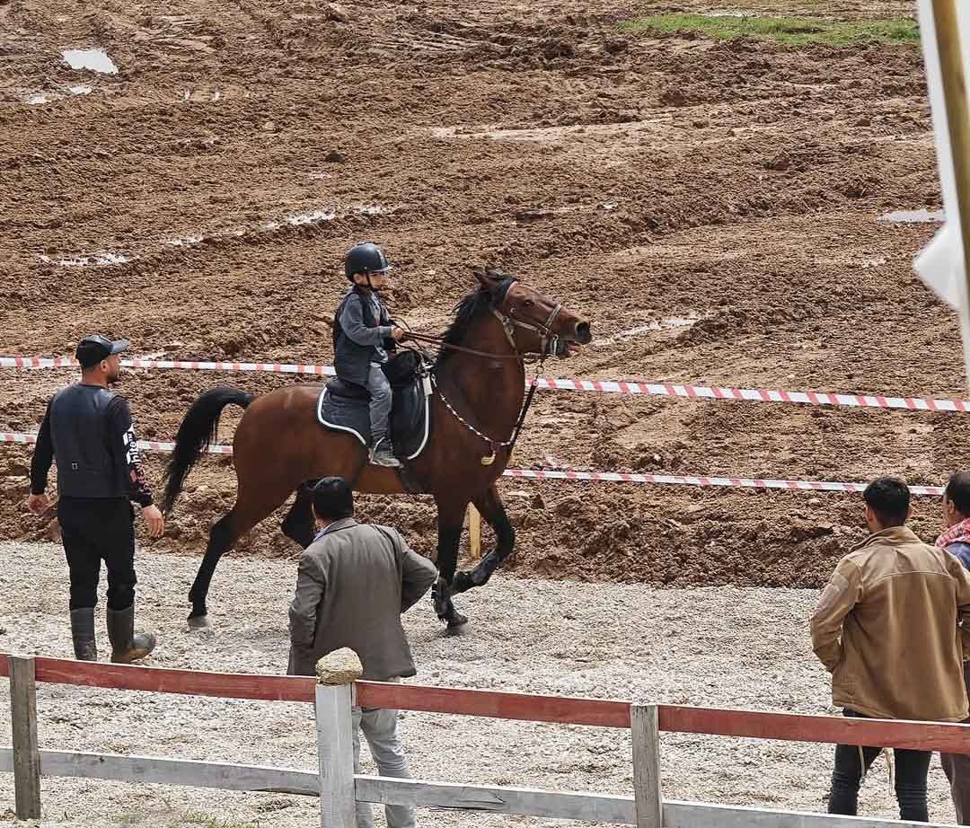 Denizli Cal Rahvan At Mirtlak Senligi Jokey2