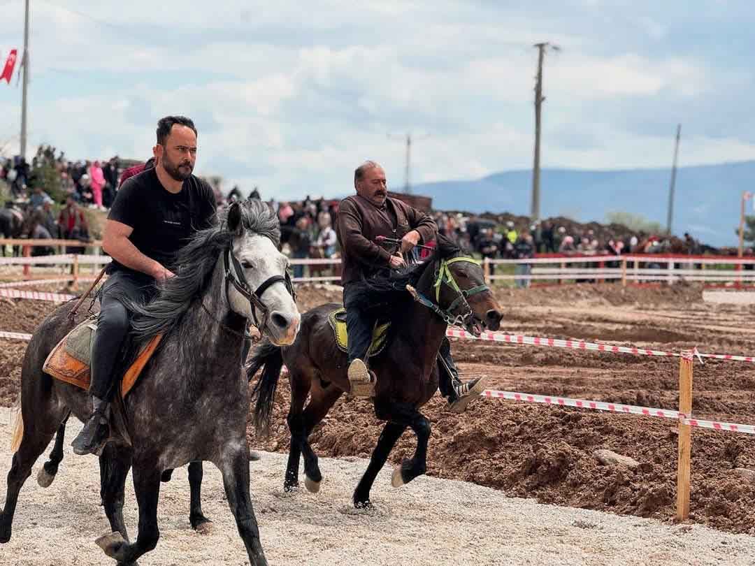 Denizli Cal Rahvan At Mirtlak Senligi Jokey4